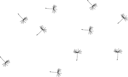 bg-ws-01-small