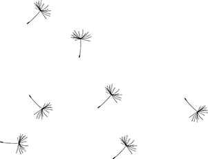 bg-ws-03-small