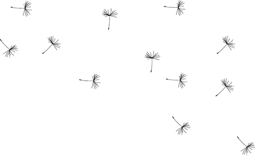 bg-ws-04-small