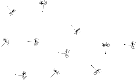 bg-ws-05-small